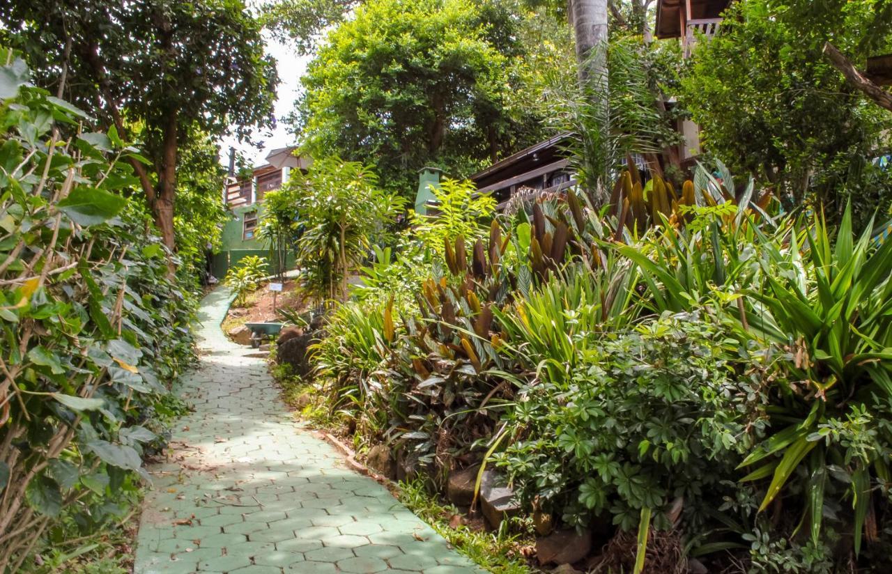Sunset Strip Eco Apartments Florianópolis 外观 照片