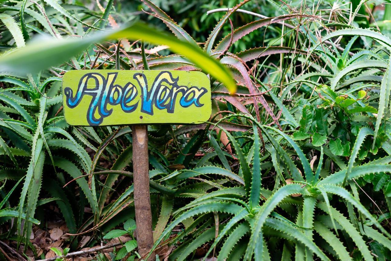 Sunset Strip Eco Apartments Florianópolis 外观 照片
